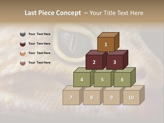 A Leopard Gecko Is Sticking His Tongue Out. PowerPoint Template