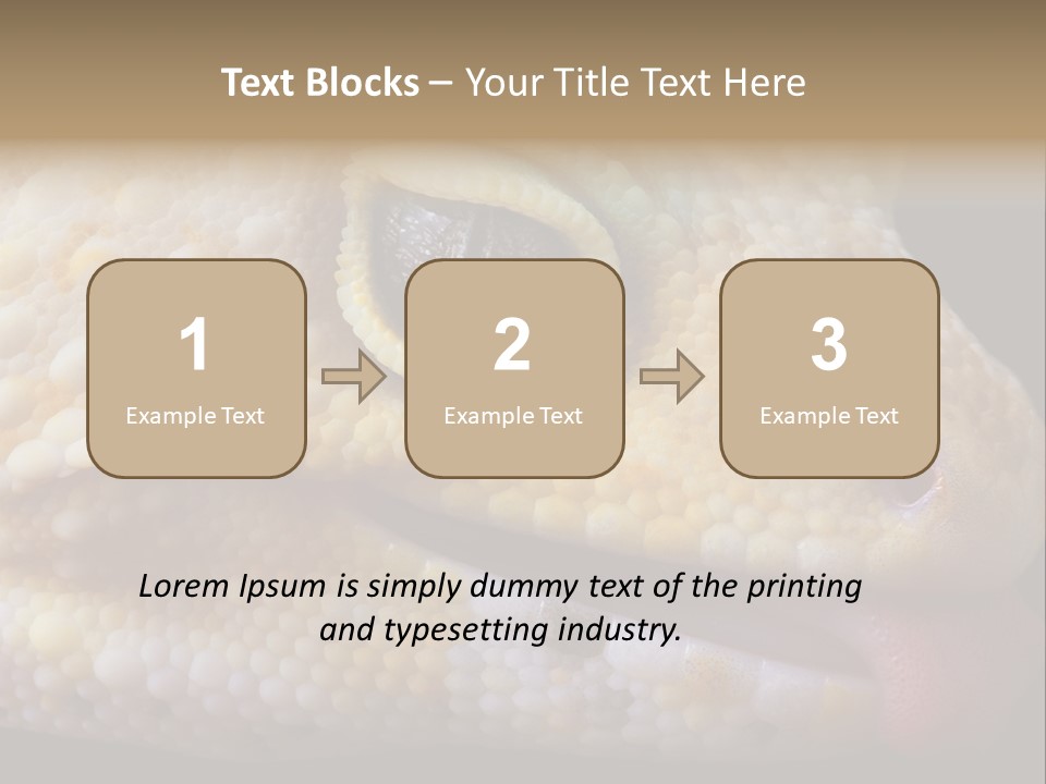 A Leopard Gecko Is Sticking His Tongue Out. PowerPoint Template