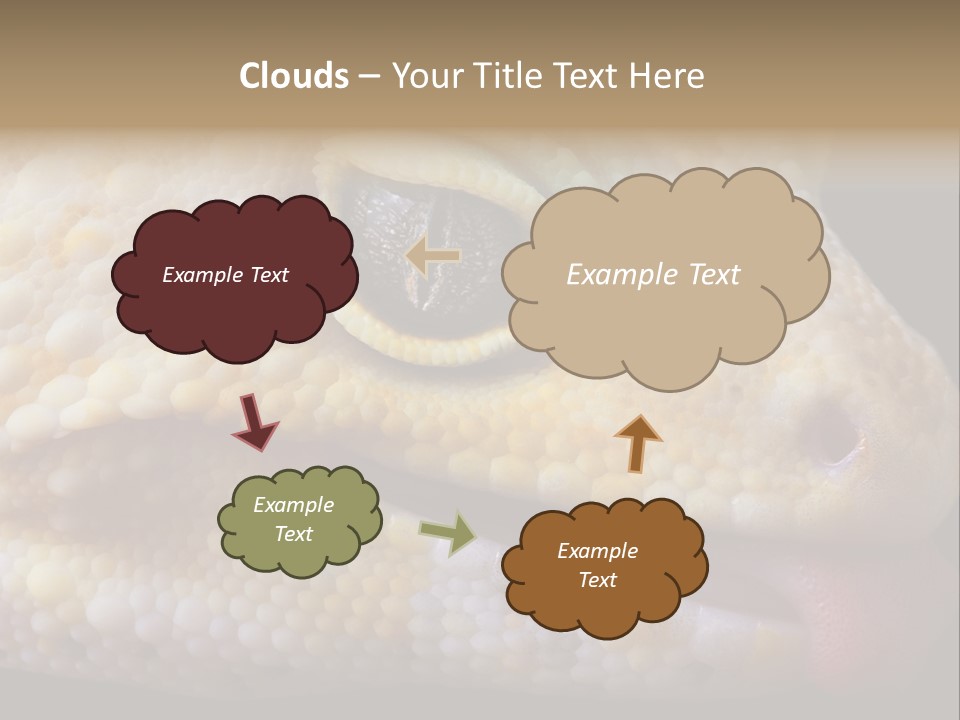 A Leopard Gecko Is Sticking His Tongue Out. PowerPoint Template