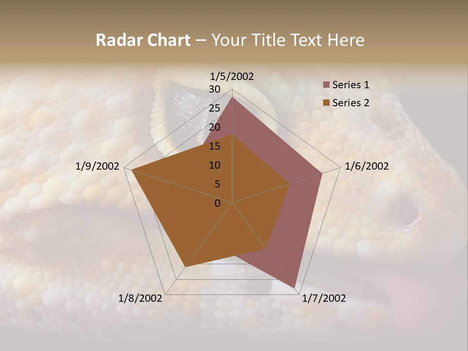 A Leopard Gecko Is Sticking His Tongue Out. PowerPoint Template