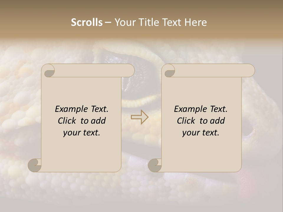 A Leopard Gecko Is Sticking His Tongue Out. PowerPoint Template
