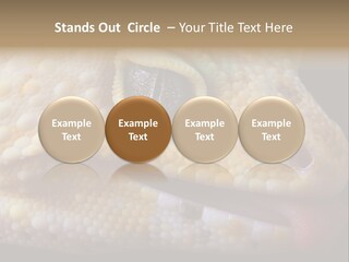 A Leopard Gecko Is Sticking His Tongue Out. PowerPoint Template