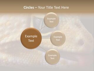 A Leopard Gecko Is Sticking His Tongue Out. PowerPoint Template