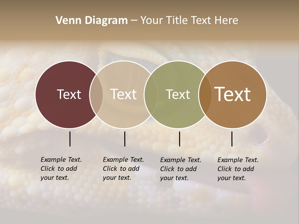 A Leopard Gecko Is Sticking His Tongue Out. PowerPoint Template