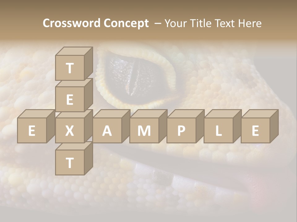 A Leopard Gecko Is Sticking His Tongue Out. PowerPoint Template