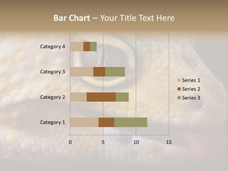 A Leopard Gecko Is Sticking His Tongue Out. PowerPoint Template