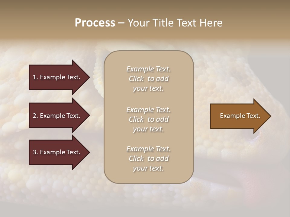 A Leopard Gecko Is Sticking His Tongue Out. PowerPoint Template