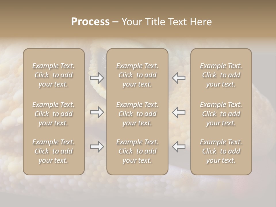 A Leopard Gecko Is Sticking His Tongue Out. PowerPoint Template