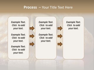 A Leopard Gecko Is Sticking His Tongue Out. PowerPoint Template