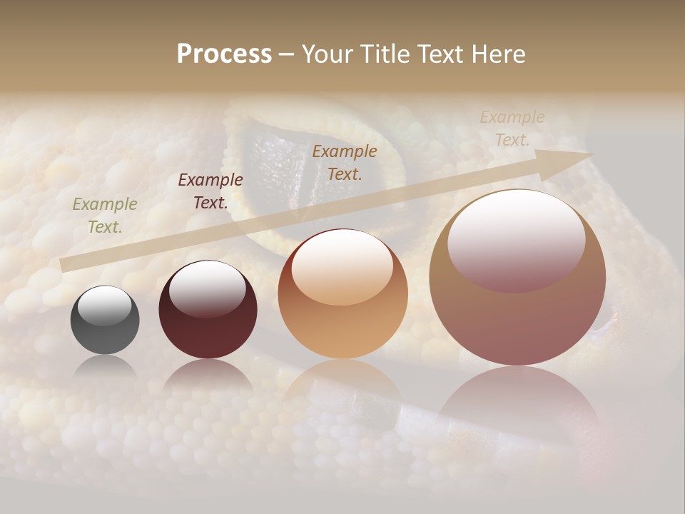 A Leopard Gecko Is Sticking His Tongue Out. PowerPoint Template