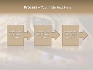 A Leopard Gecko Is Sticking His Tongue Out. PowerPoint Template