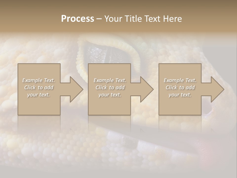 A Leopard Gecko Is Sticking His Tongue Out. PowerPoint Template