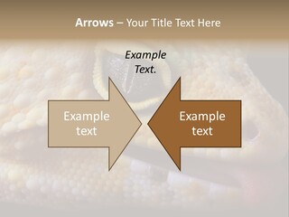 A Leopard Gecko Is Sticking His Tongue Out. PowerPoint Template