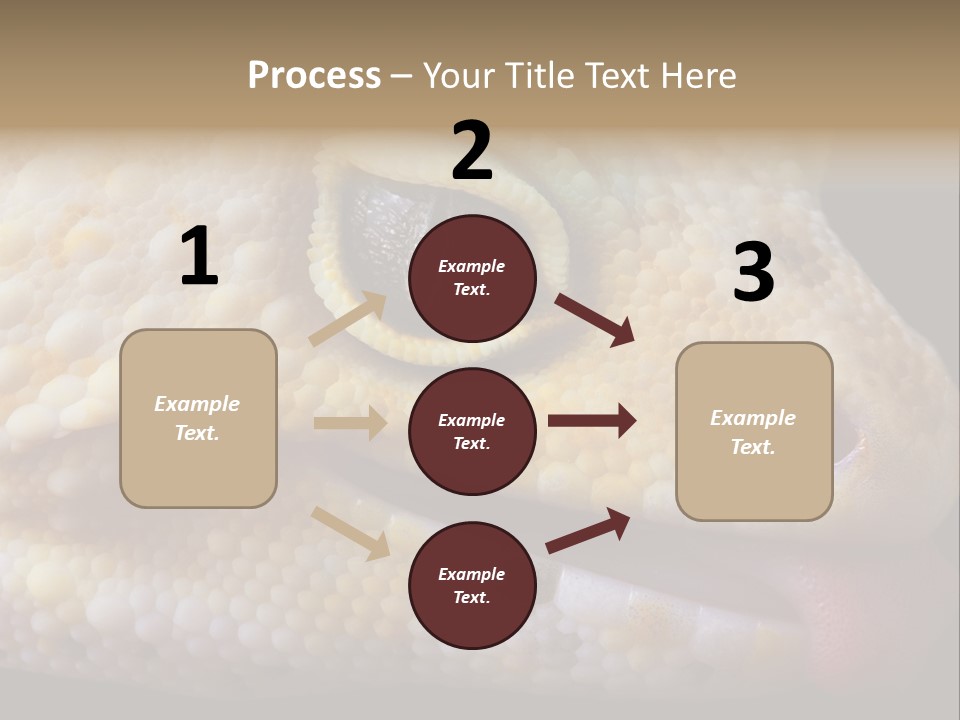 A Leopard Gecko Is Sticking His Tongue Out. PowerPoint Template