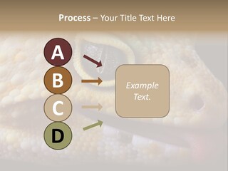 A Leopard Gecko Is Sticking His Tongue Out. PowerPoint Template