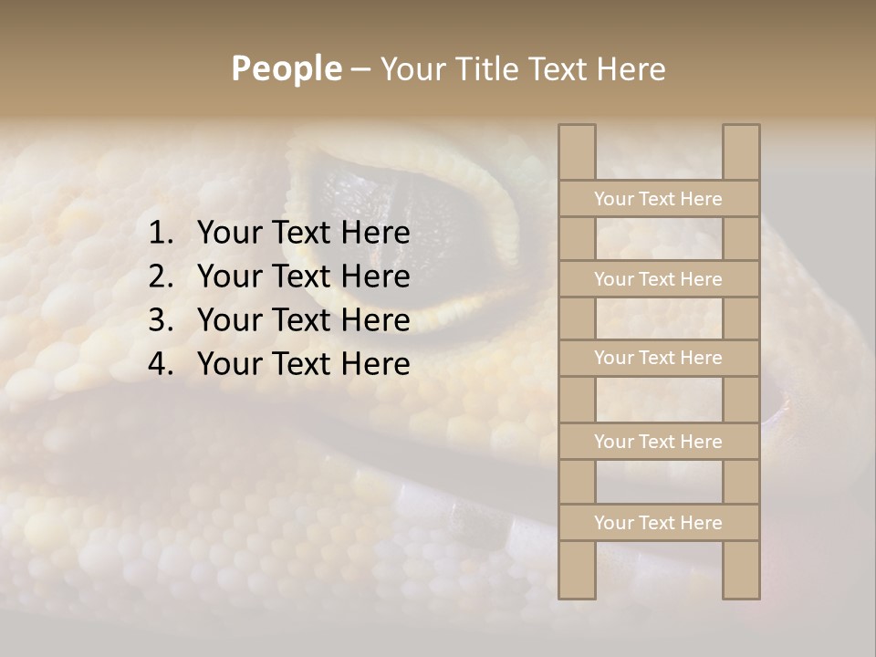 A Leopard Gecko Is Sticking His Tongue Out. PowerPoint Template