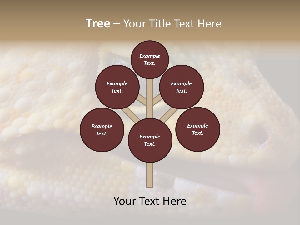 A Leopard Gecko Is Sticking His Tongue Out. PowerPoint Template