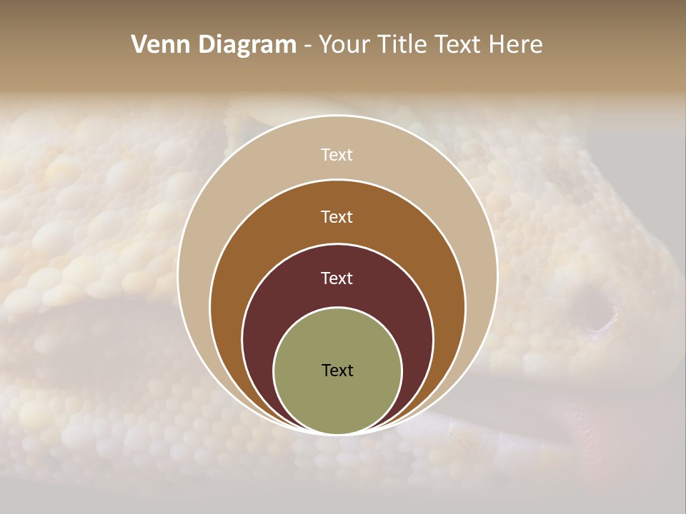 A Leopard Gecko Is Sticking His Tongue Out. PowerPoint Template