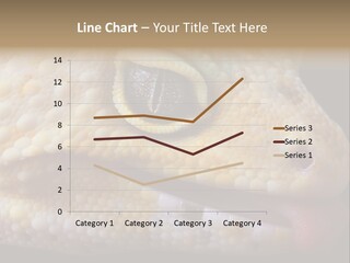 A Leopard Gecko Is Sticking His Tongue Out. PowerPoint Template