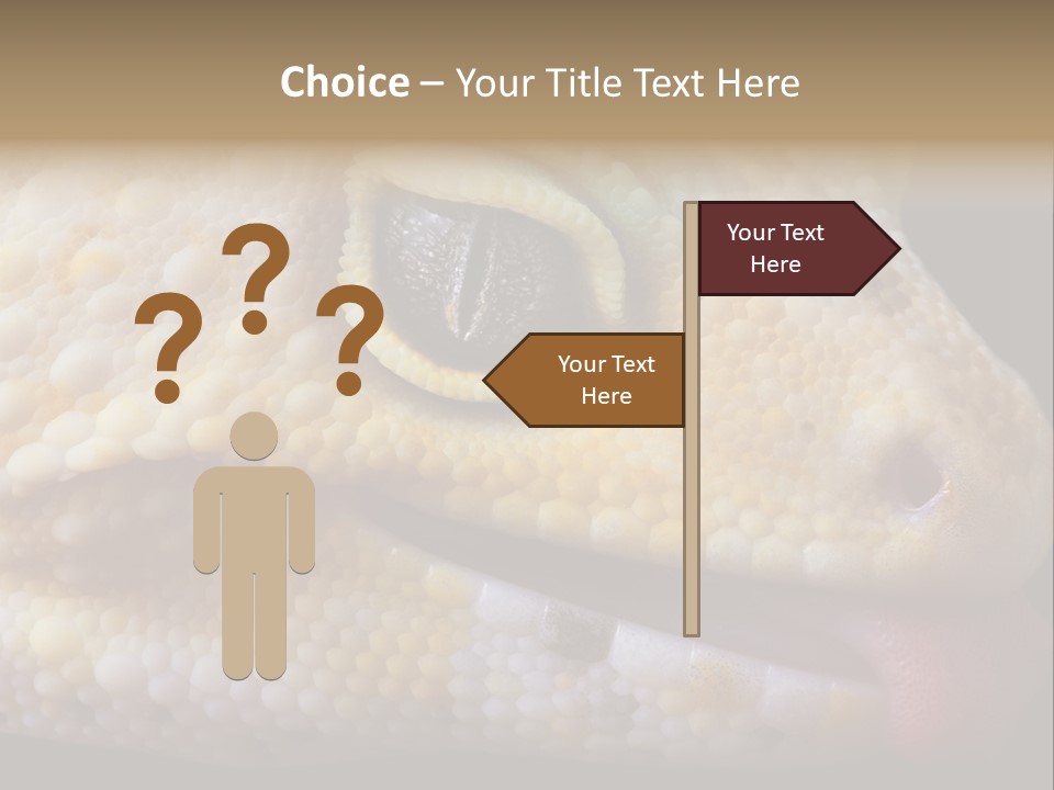A Leopard Gecko Is Sticking His Tongue Out. PowerPoint Template