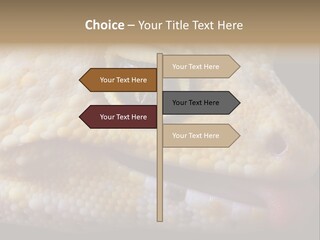 A Leopard Gecko Is Sticking His Tongue Out. PowerPoint Template