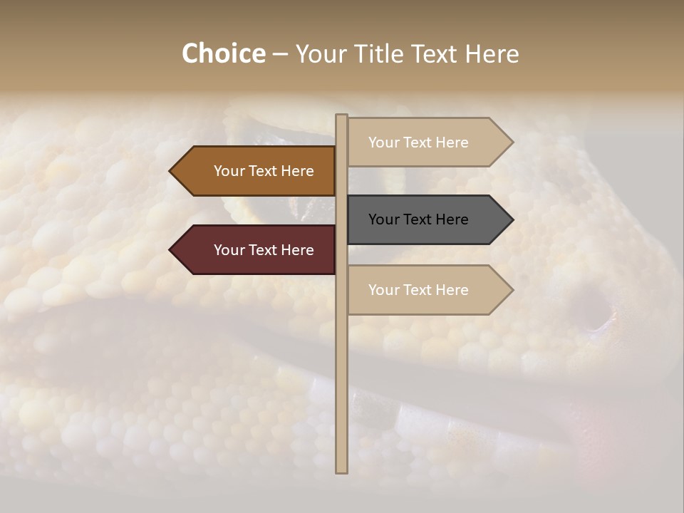 A Leopard Gecko Is Sticking His Tongue Out. PowerPoint Template