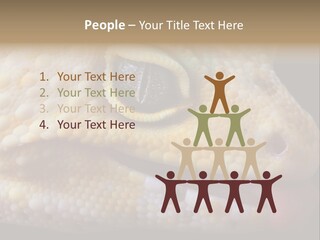 A Leopard Gecko Is Sticking His Tongue Out. PowerPoint Template