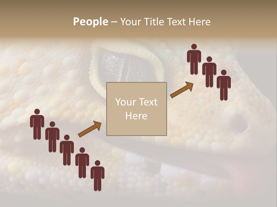 A Leopard Gecko Is Sticking His Tongue Out. PowerPoint Template