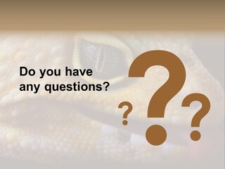 A Leopard Gecko Is Sticking His Tongue Out. PowerPoint Template