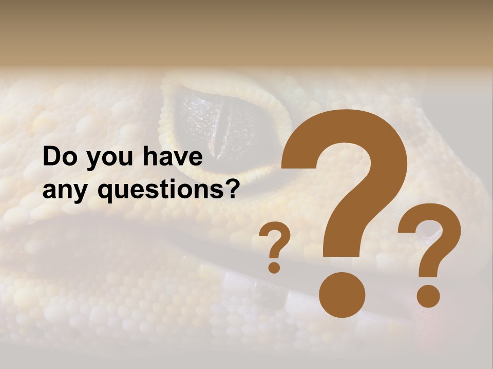 A Leopard Gecko Is Sticking His Tongue Out. PowerPoint Template