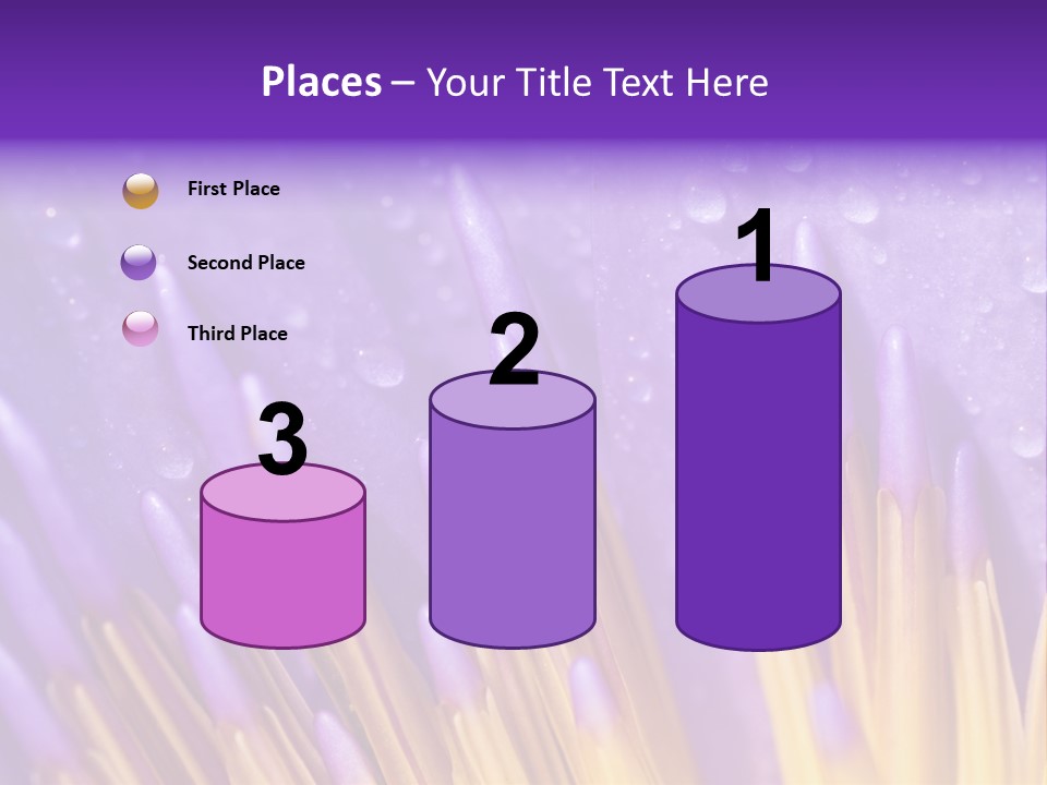 Close Up Of Purple Water Lily PowerPoint Template