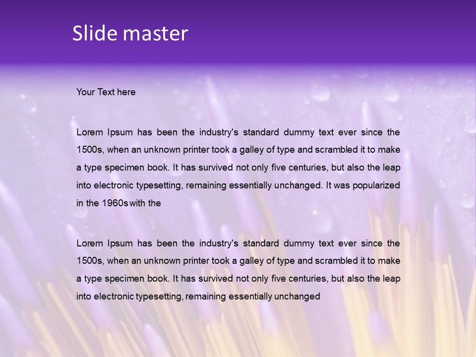 Close Up Of Purple Water Lily PowerPoint Template