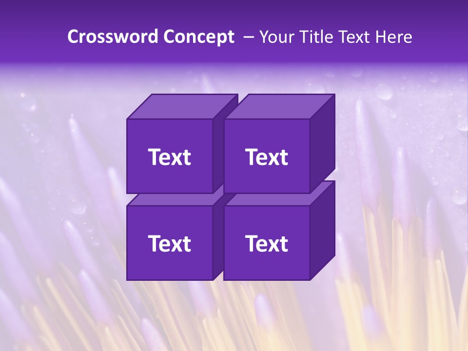 Close Up Of Purple Water Lily PowerPoint Template