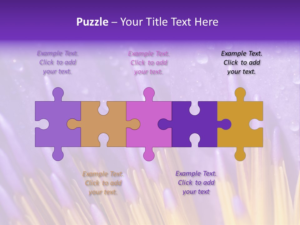 Close Up Of Purple Water Lily PowerPoint Template