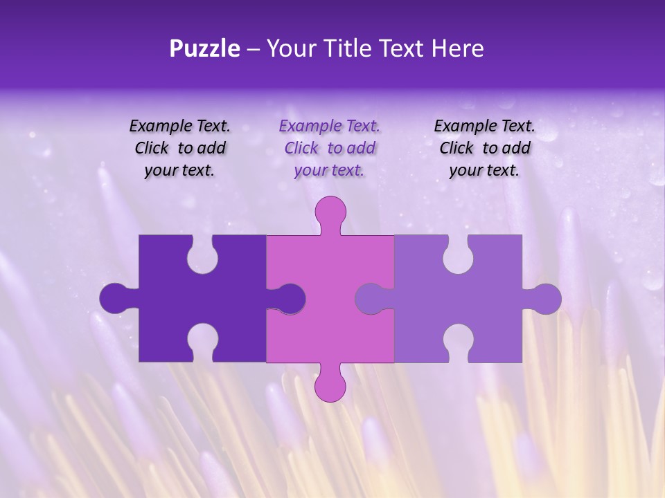 Close Up Of Purple Water Lily PowerPoint Template