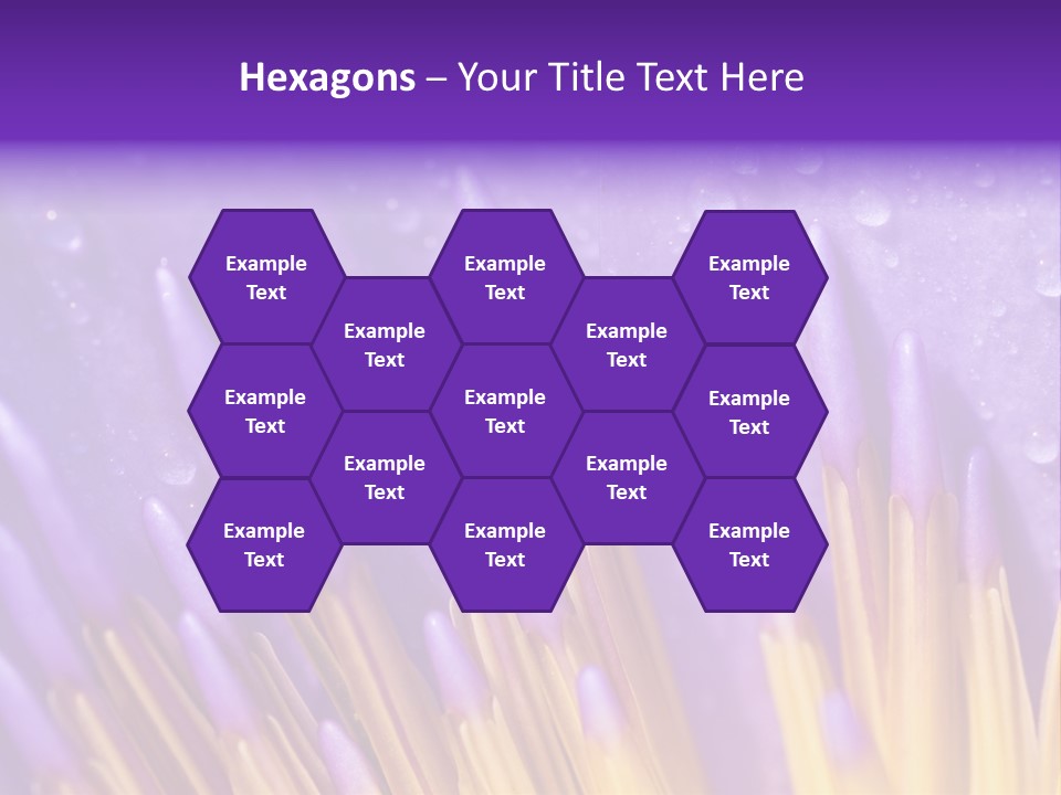 Close Up Of Purple Water Lily PowerPoint Template