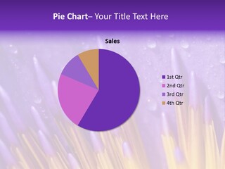 Close Up Of Purple Water Lily PowerPoint Template
