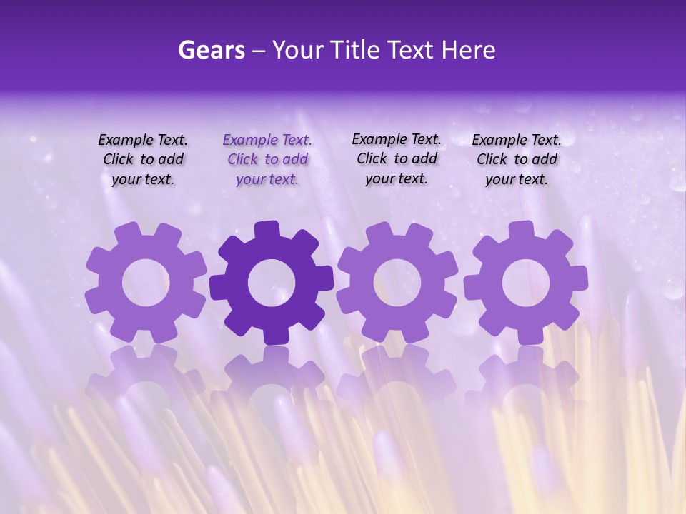 Close Up Of Purple Water Lily PowerPoint Template