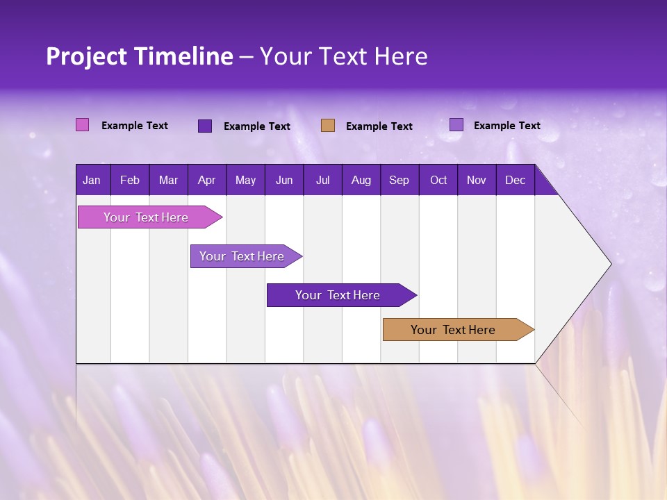 Close Up Of Purple Water Lily PowerPoint Template
