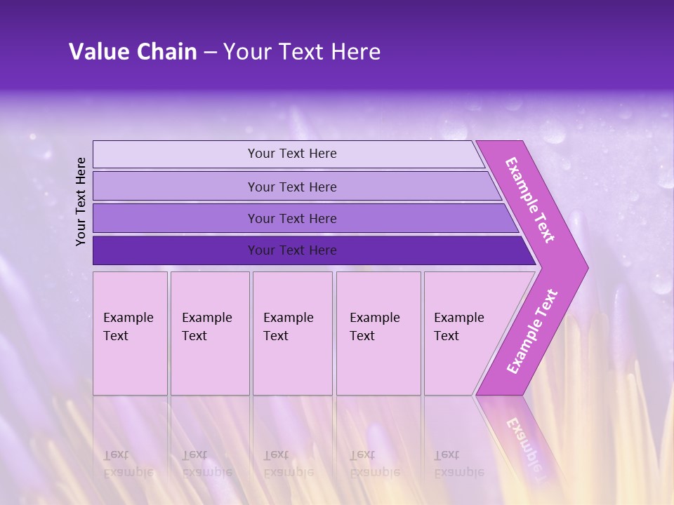 Close Up Of Purple Water Lily PowerPoint Template