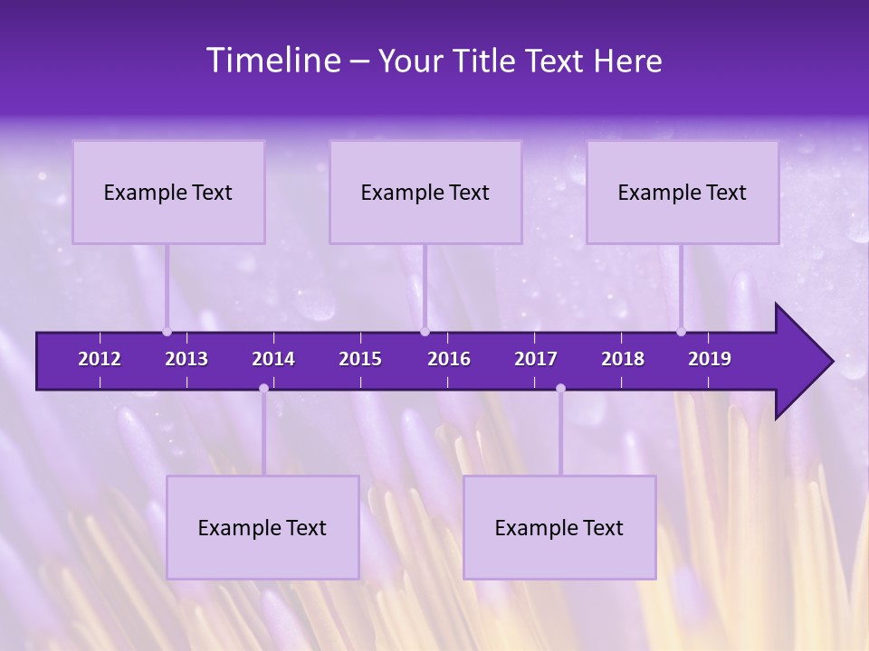 Close Up Of Purple Water Lily PowerPoint Template