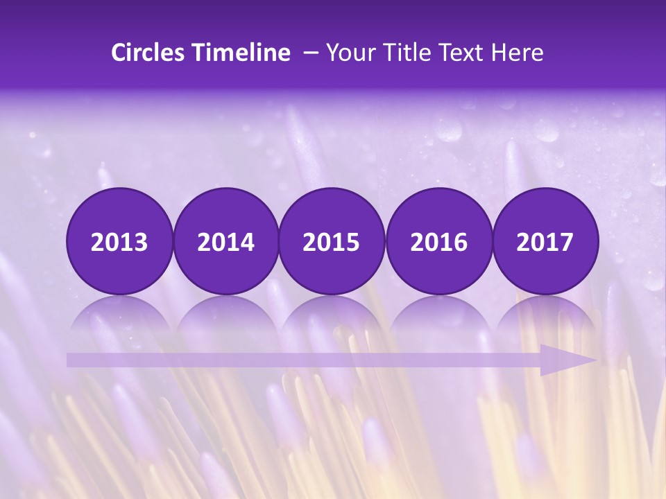 Close Up Of Purple Water Lily PowerPoint Template