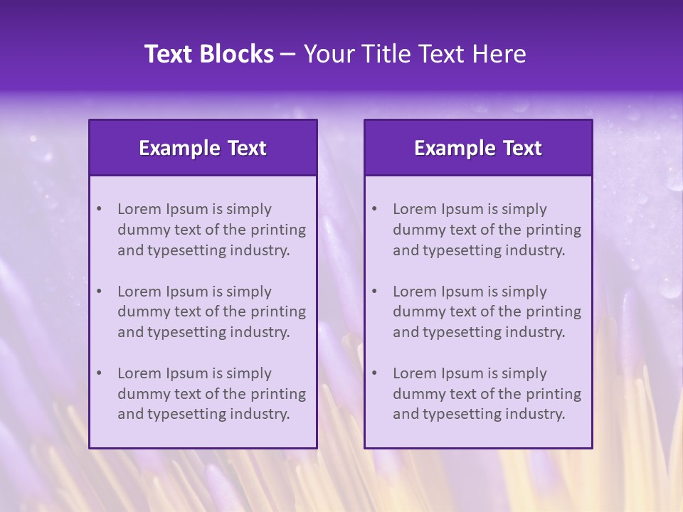 Close Up Of Purple Water Lily PowerPoint Template