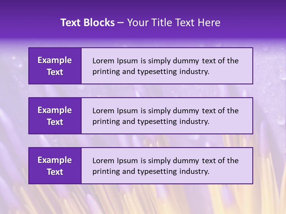 Close Up Of Purple Water Lily PowerPoint Template