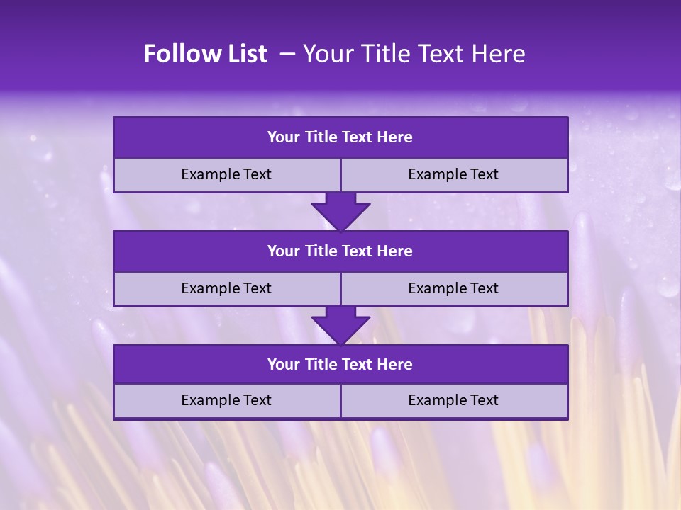 Close Up Of Purple Water Lily PowerPoint Template
