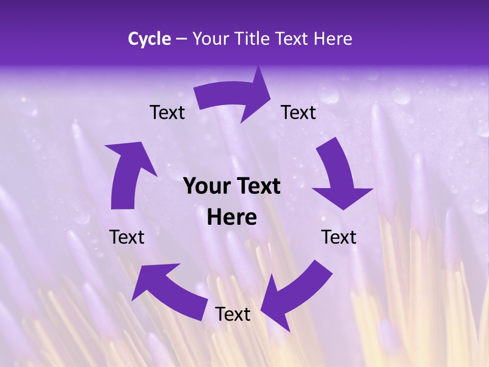 Close Up Of Purple Water Lily PowerPoint Template