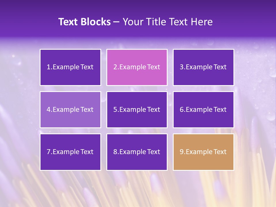 Close Up Of Purple Water Lily PowerPoint Template