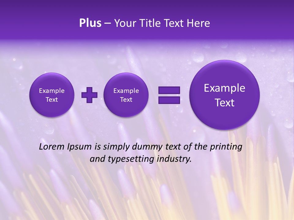 Close Up Of Purple Water Lily PowerPoint Template