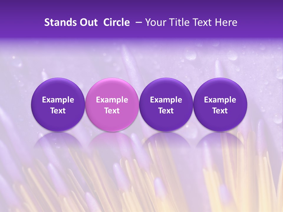 Close Up Of Purple Water Lily PowerPoint Template