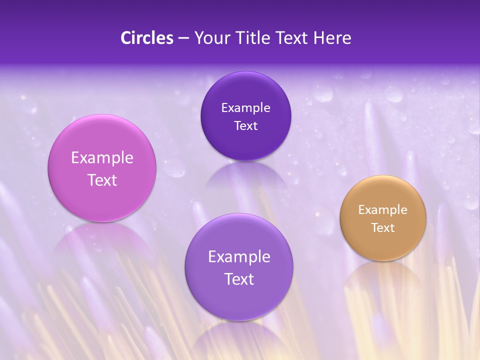 Close Up Of Purple Water Lily PowerPoint Template